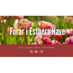 forår i Esthers Have